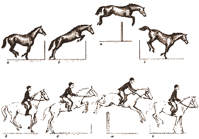 правильное положение при прыжке всадника и лошади